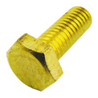 Brass Bolt