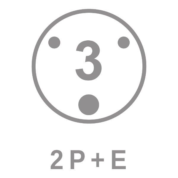 Walther 2P+E Diagram