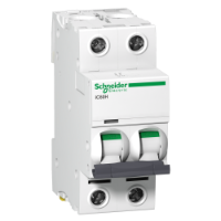 Schneider iC60H 2-pole MCB